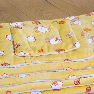 Pets Bed Mats