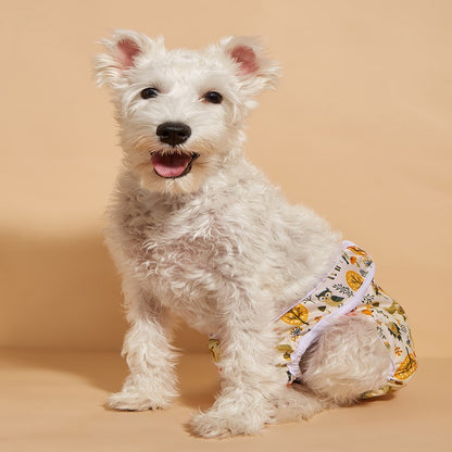 Menstrual Pants for Female Pets