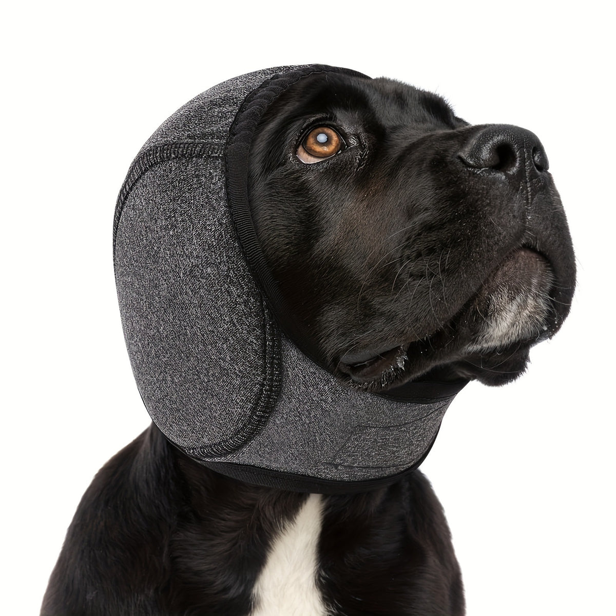 Dog Calming Headgear