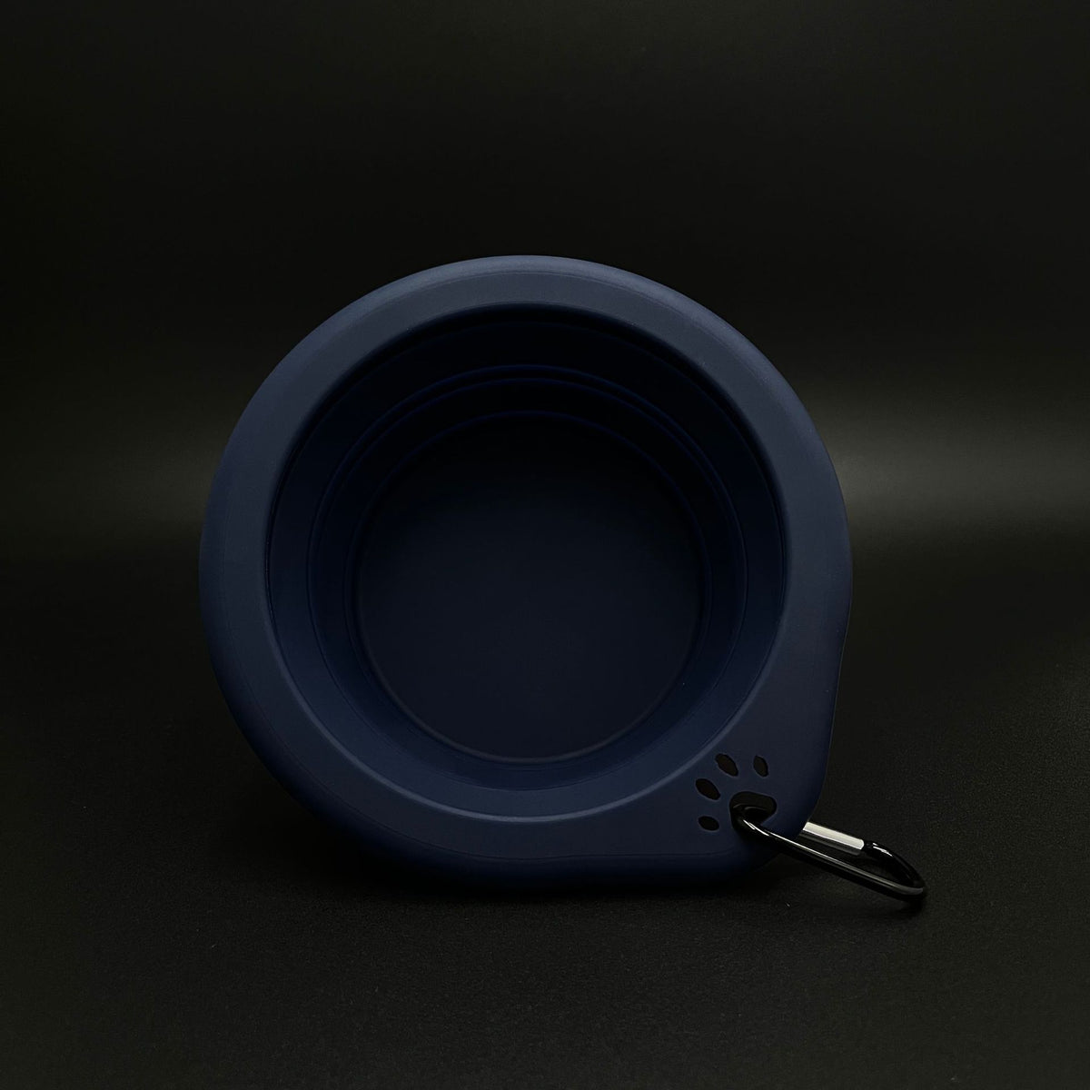 Silicone Foldable Bowl